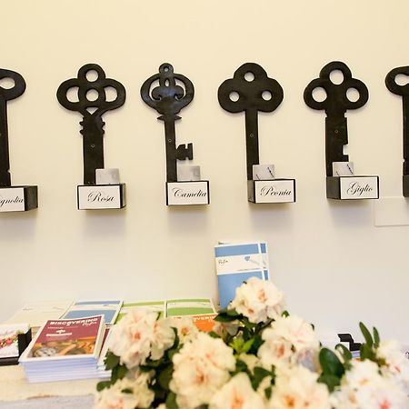 Le Stanze Di Corteinfiore Trani Eksteriør billede